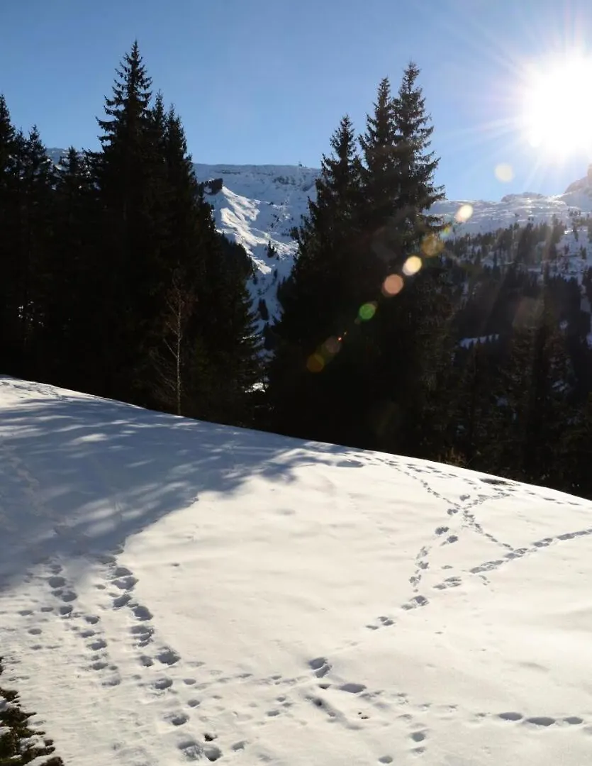 Daire Residence Sagittaire - Studio Entierement Renove Avec Cabine - Centre Station - Balcon Mae-7390 Flaine
